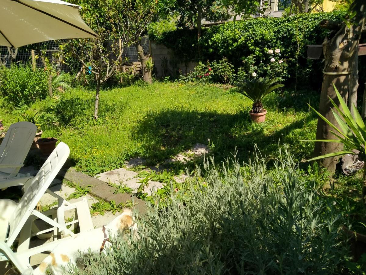 Bed and Breakfast Villino L'Aranceto Sorrentino à Meta Extérieur photo